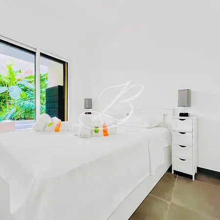 Le Garden Croisette - Close To Beaches And Palace Apartman